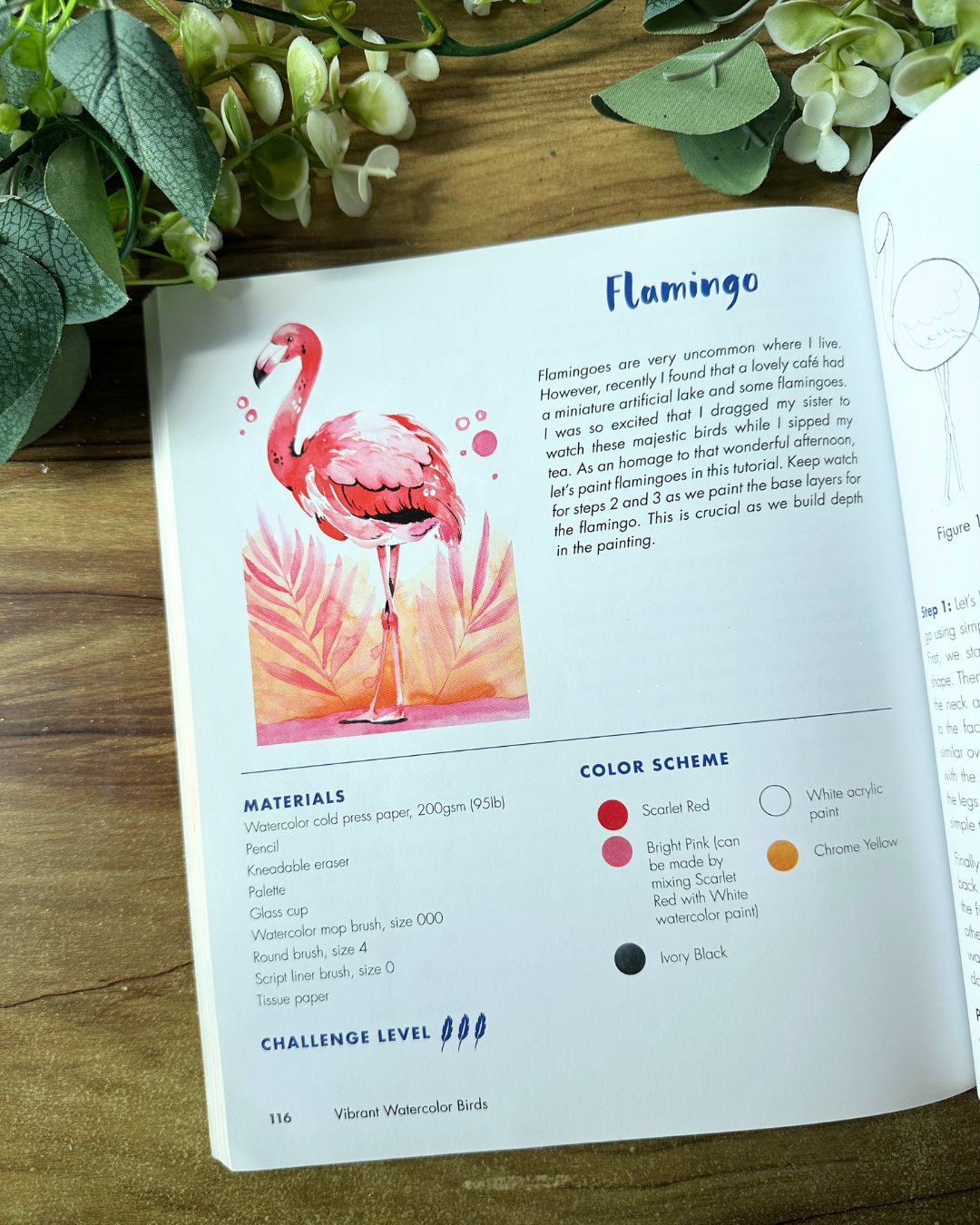 Vibrant Watercolor Birds — 24 Step-by-Step Projects