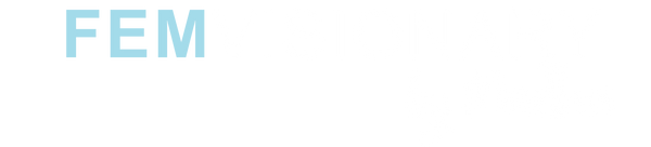 Femvisionary Logo